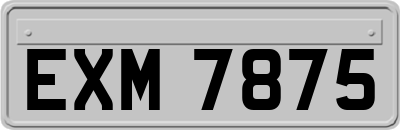 EXM7875