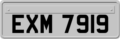 EXM7919