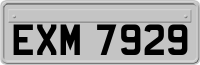 EXM7929