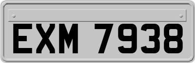 EXM7938