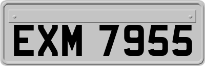 EXM7955