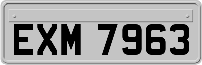 EXM7963