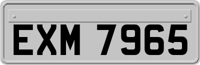EXM7965