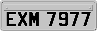 EXM7977