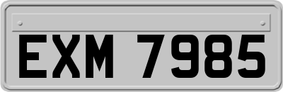 EXM7985