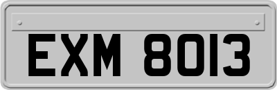 EXM8013