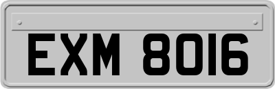 EXM8016