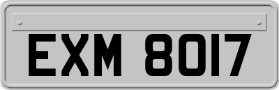 EXM8017