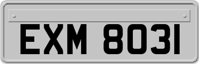 EXM8031