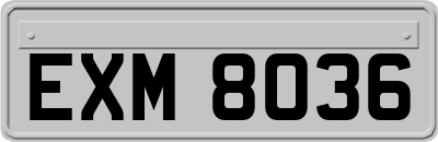 EXM8036