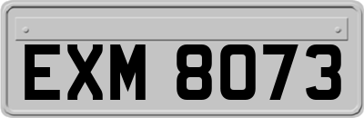EXM8073