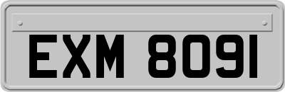 EXM8091