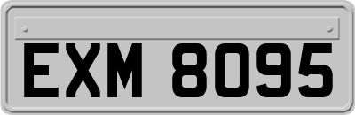 EXM8095