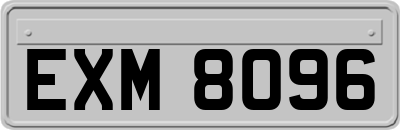 EXM8096