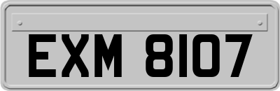 EXM8107