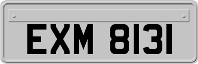 EXM8131