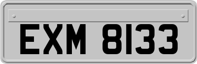 EXM8133