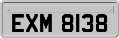 EXM8138