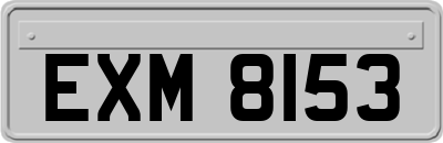EXM8153