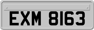EXM8163