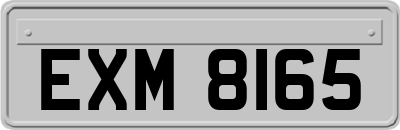 EXM8165