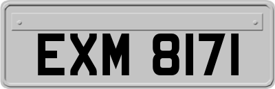 EXM8171
