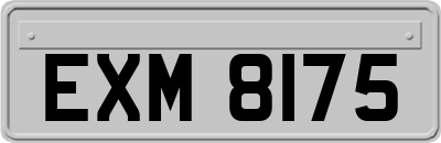 EXM8175