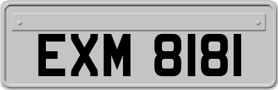 EXM8181