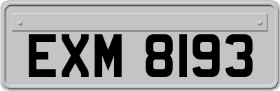 EXM8193