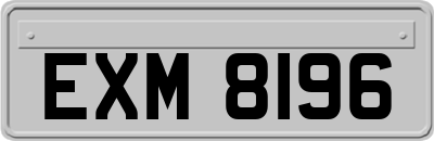 EXM8196
