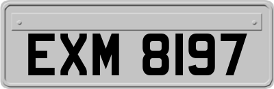 EXM8197