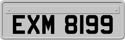 EXM8199