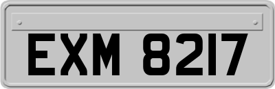 EXM8217