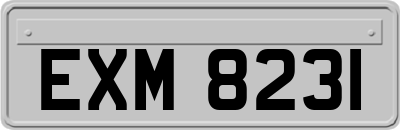 EXM8231