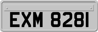 EXM8281