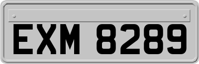 EXM8289