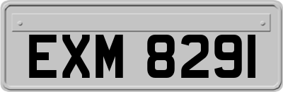EXM8291