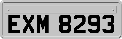 EXM8293