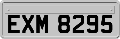 EXM8295