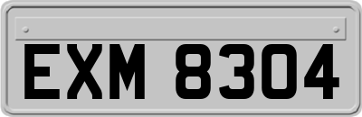 EXM8304