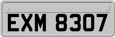 EXM8307