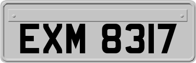 EXM8317