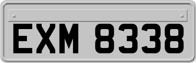 EXM8338