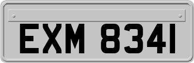 EXM8341