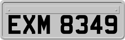 EXM8349