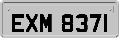 EXM8371