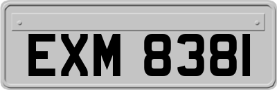 EXM8381