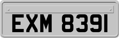 EXM8391