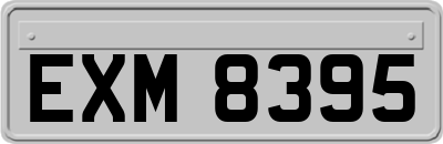 EXM8395