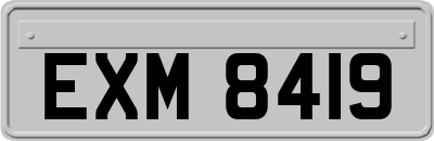 EXM8419